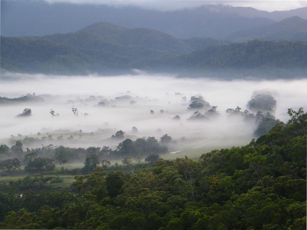 Cloud 9 Villa Daintree Eksteriør bilde