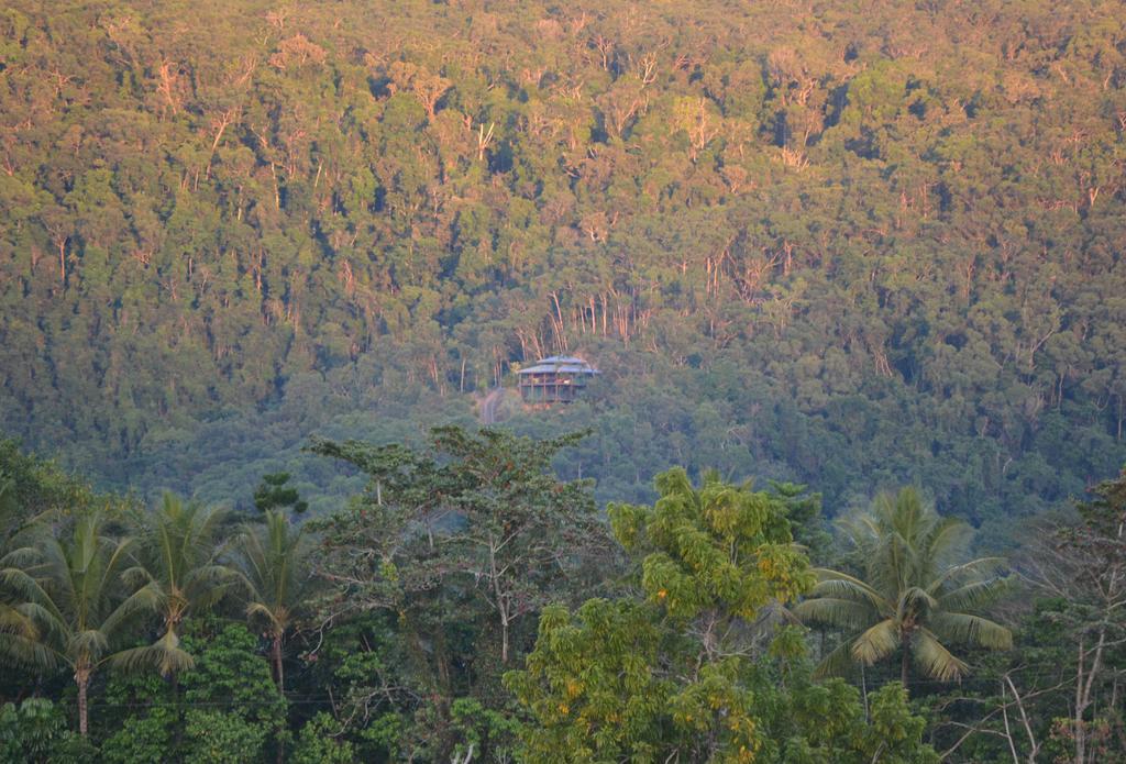 Cloud 9 Villa Daintree Eksteriør bilde
